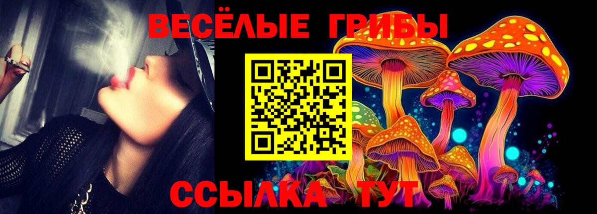 Псилоцибиновые грибы Psilocybine cubensis Тольятти